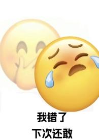 强制爱了自己的死对头1v1妧